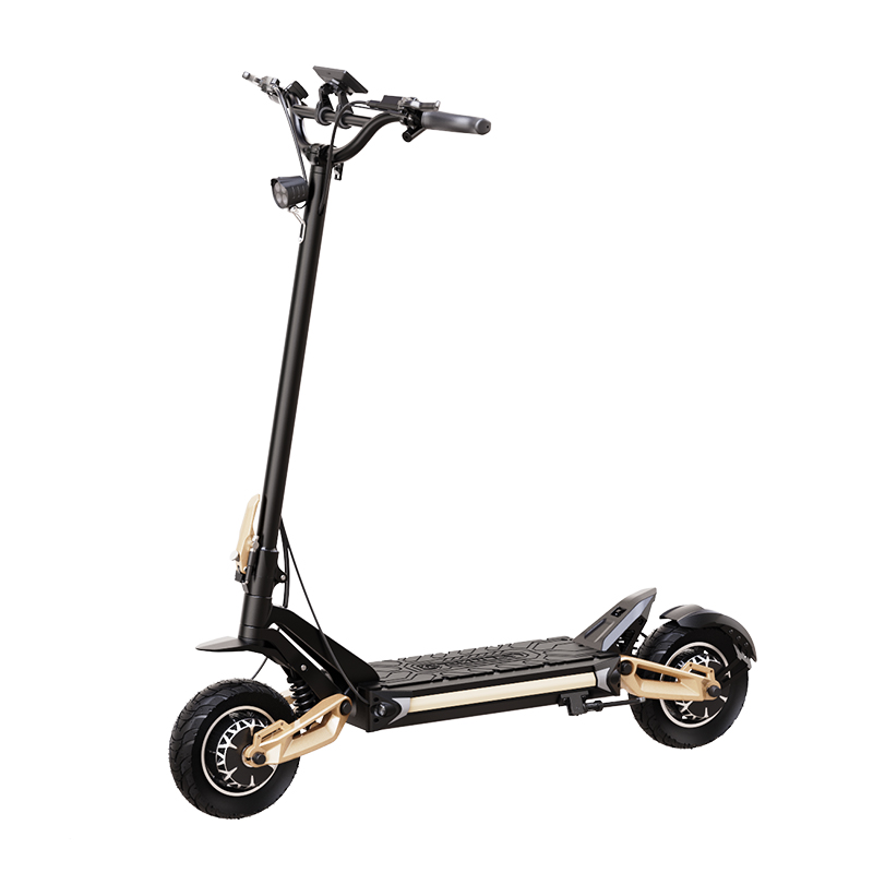 Scooter elétrica de acionamento duplo OKULEY R10